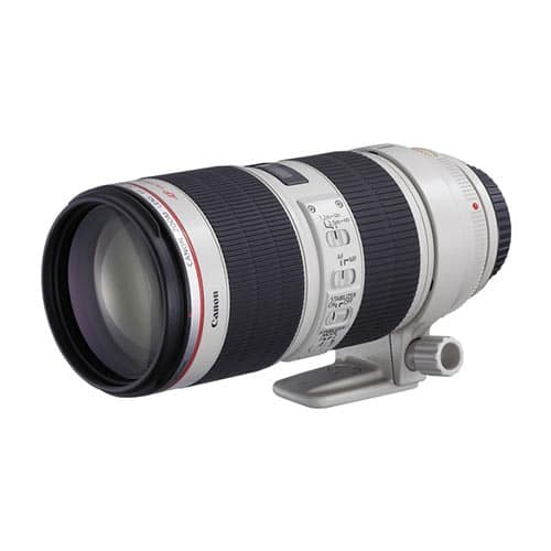 EF 70-200mm f:2.8L IS vII